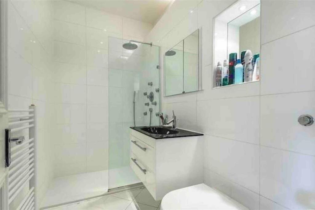 Stunning Grand 2 Bed, 2 Bath Apartment, 런던 외부 사진